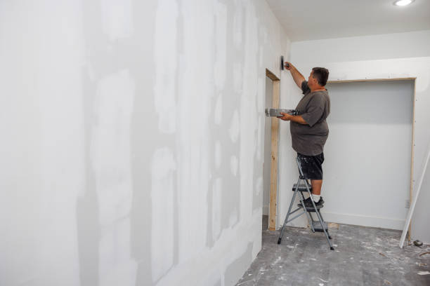 Best Drywall Removal and Disposal  in Dormont, PA